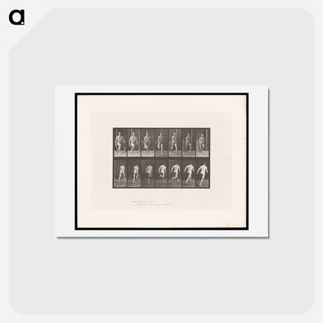 アートポストカード-Naked Man Running
 - エドワード マイブリッジ Postcard.