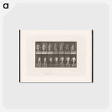 アートポストカード-Naked Man Running
 - エドワード マイブリッジ Postcard.