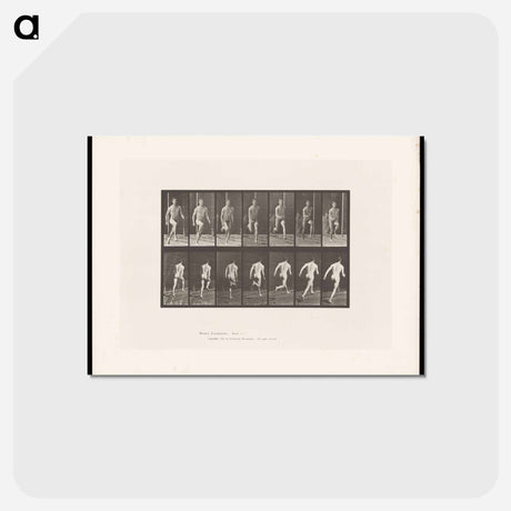 アートポストカード-Naked Man Running
 - エドワード マイブリッジ Postcard.