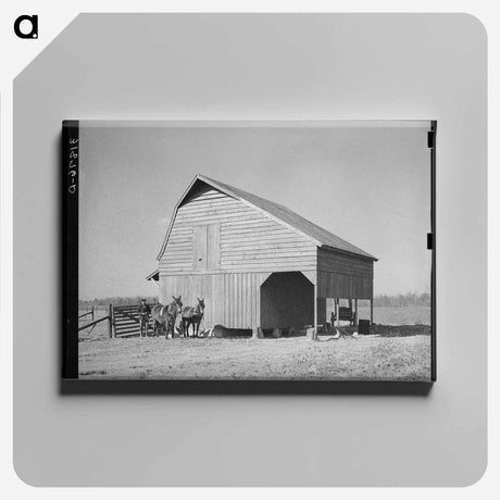 アートパネル-Peanut Shelling Plant
 - ラッセル リー Canvas.