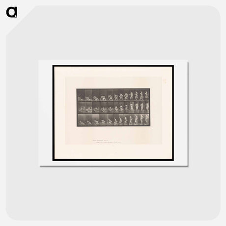 アートポストカード-Rising Woman
 - エドワード マイブリッジ Postcard.