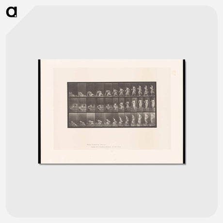 アートポストカード-Rising Woman
 - エドワード マイブリッジ Postcard.