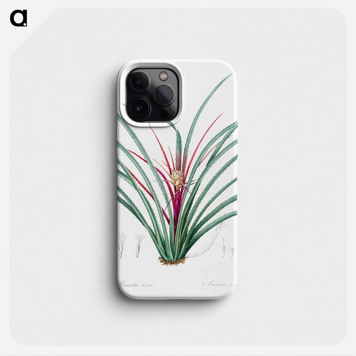 Plumier's bromelia illustration from Les liliacées - ピエール ジョゼフ ルドゥーテ Phone Case.