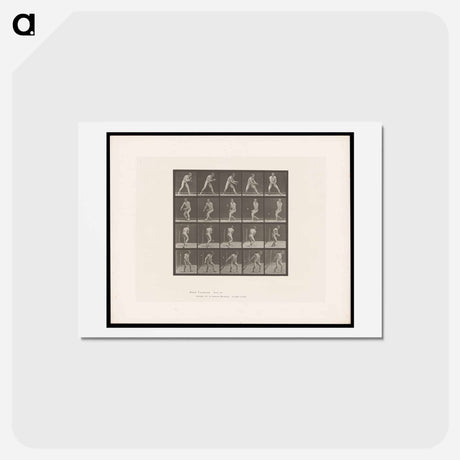 アートポストカード-The Ball Player
 - エドワード マイブリッジ Postcard.