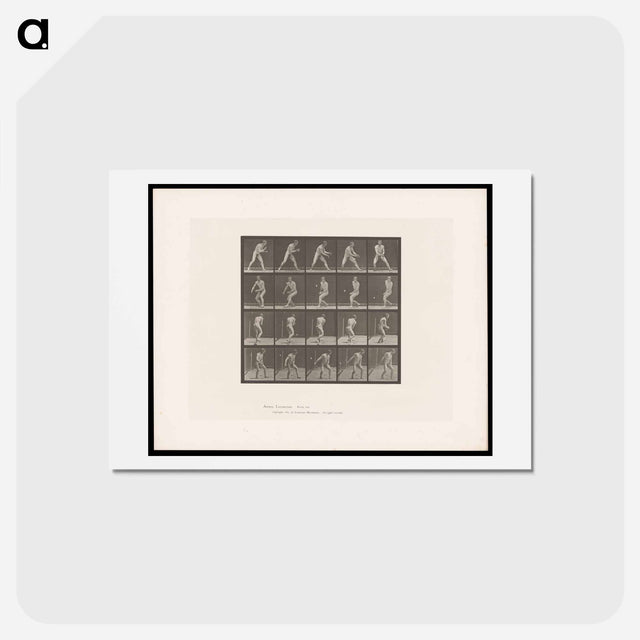 アートポストカード-The Ball Player
 - エドワード マイブリッジ Postcard.
