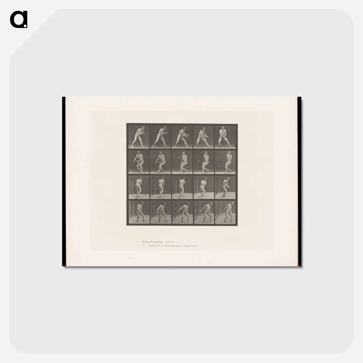 アートポストカード-The Ball Player
 - エドワード マイブリッジ Postcard.