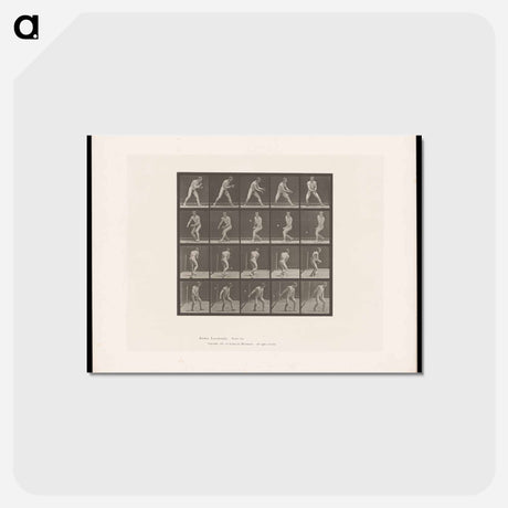 アートポストカード-The Ball Player
 - エドワード マイブリッジ Postcard.