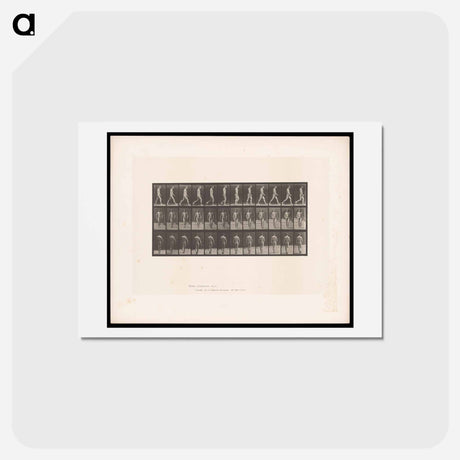 アートポストカード-Man Walking
 - エドワード マイブリッジ Postcard.