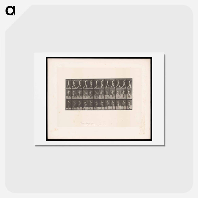アートポストカード-Man Walking
 - エドワード マイブリッジ Postcard.