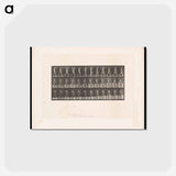 アートポストカード-Man Walking
 - エドワード マイブリッジ Postcard.