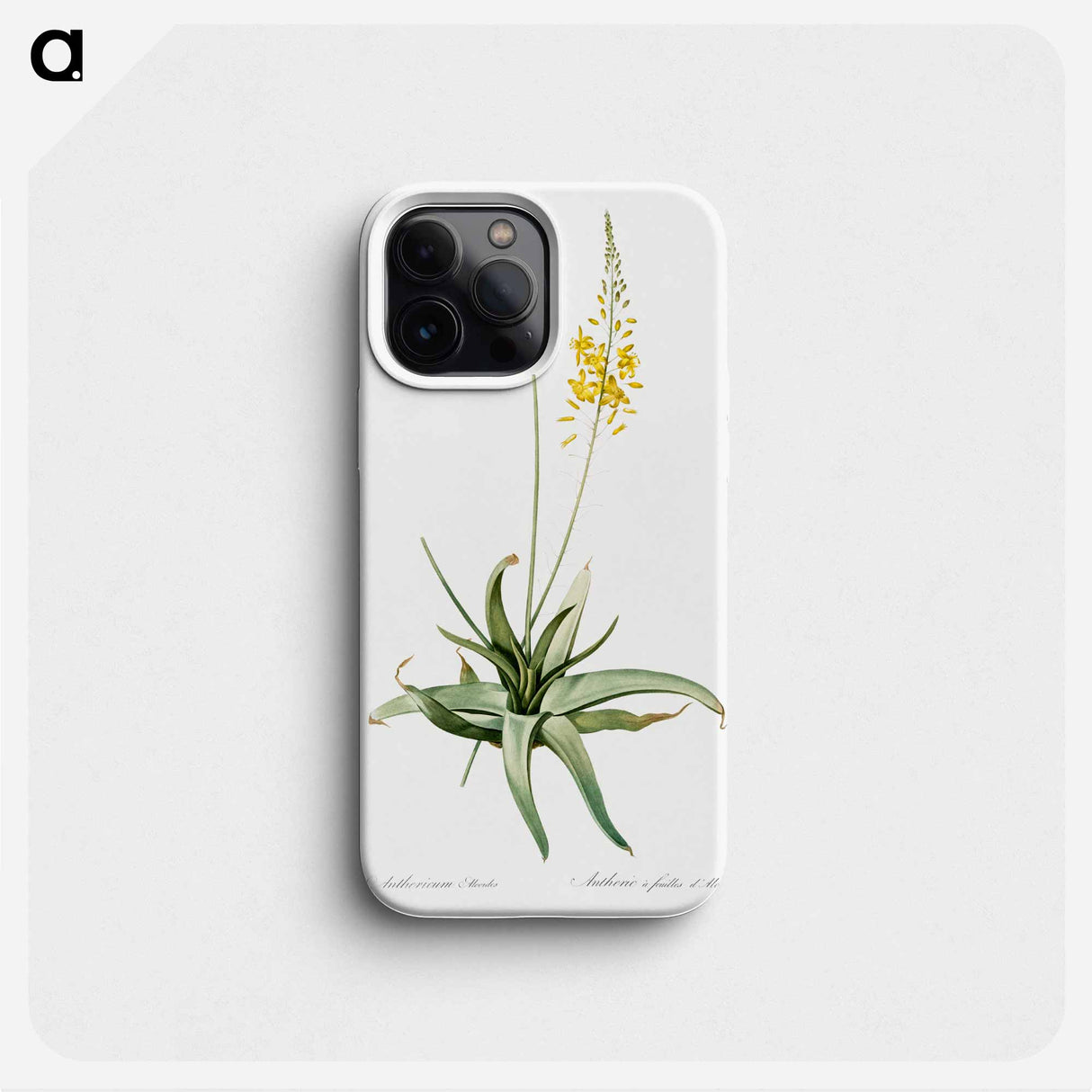 Bulbine - Pierre Joseph Redouté Phone Case.