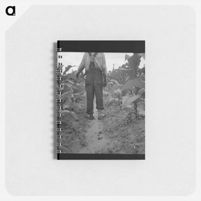 アートメモ帳-Untitled photo - ドロテア ラング Memo.