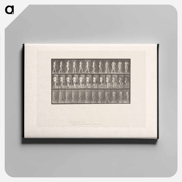 Street Sweeper
 - エドワード マイブリッジ Canvas.