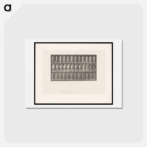 アートポストカード-Street Sweeper
 - エドワード マイブリッジ Postcard.