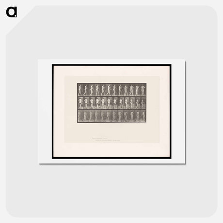 アートポストカード-Street Sweeper
 - エドワード マイブリッジ Postcard.