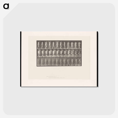 アートポストカード-Street Sweeper
 - エドワード マイブリッジ Postcard.