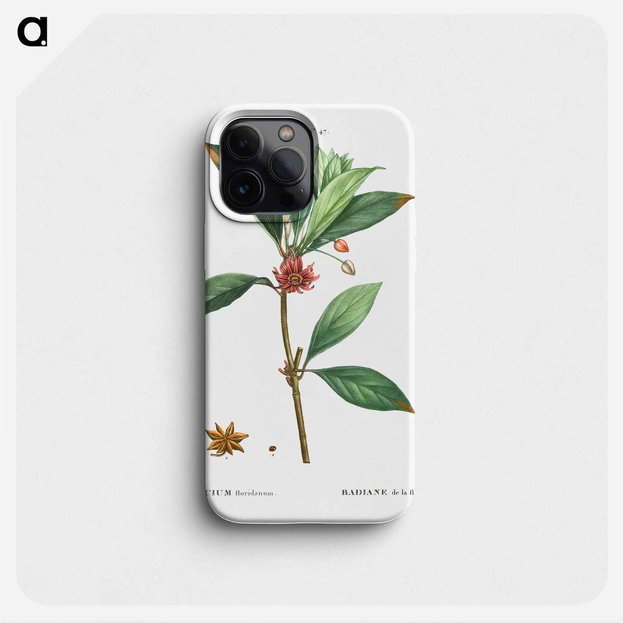 Florida anise - Pierre Joseph Redouté Phone Case.