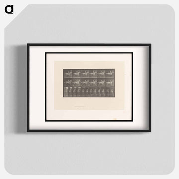 Naked Rider
 - エドワード マイブリッジ Poster.