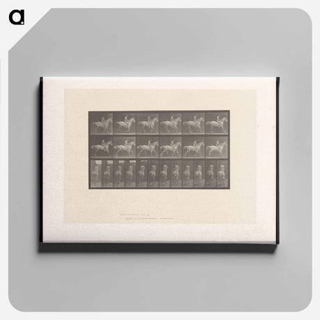 アートパネル-Naked Rider
 - エドワード マイブリッジ Canvas.