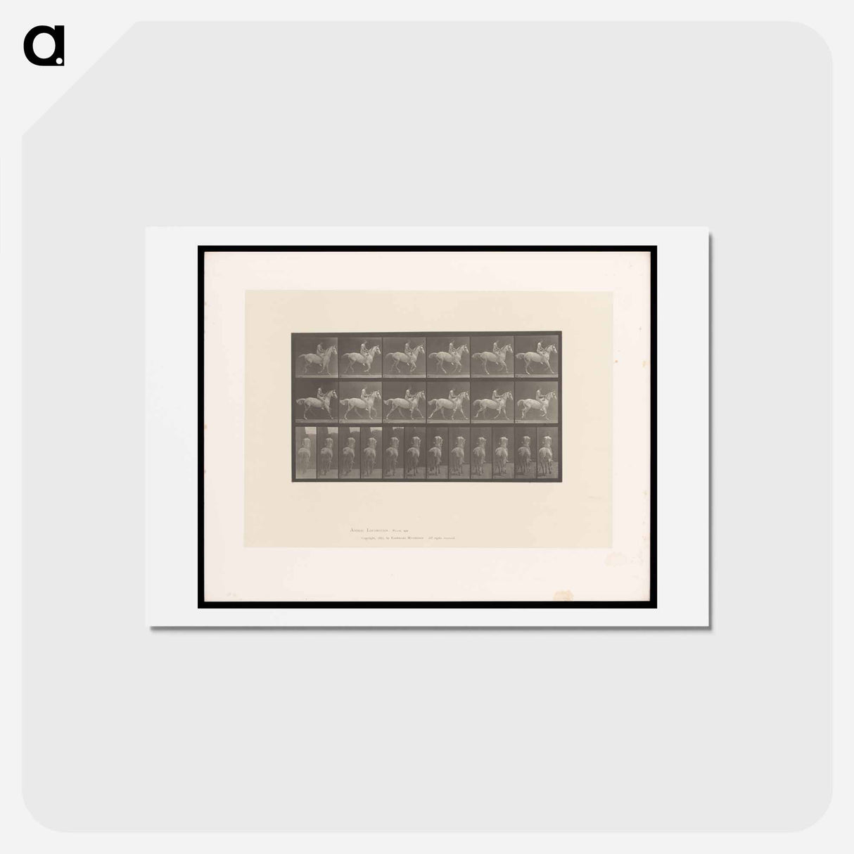 アートポストカード-Naked Rider
 - エドワード マイブリッジ Postcard.