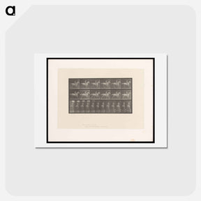 アートポストカード-Naked Rider
 - エドワード マイブリッジ Postcard.