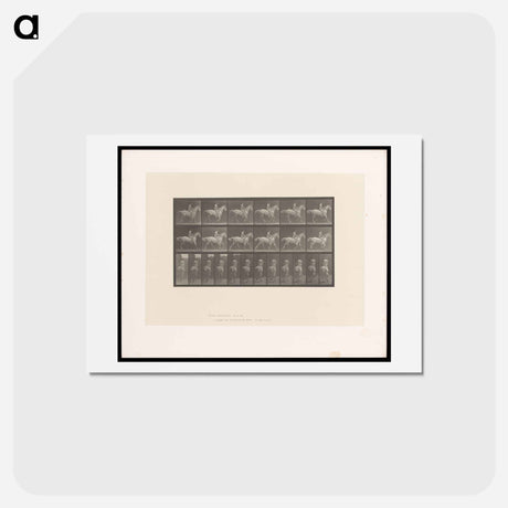 アートポストカード-Naked Rider
 - エドワード マイブリッジ Postcard.