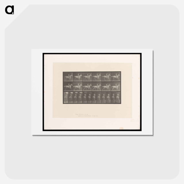 アートポストカード-Naked Rider
 - エドワード マイブリッジ Postcard.