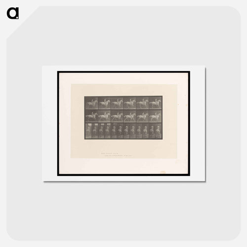 Naked Rider
 - エドワード マイブリッジ Postcard.