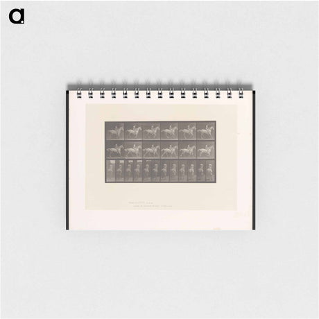 アートメモ帳-Naked Rider
 - エドワード マイブリッジ Memo.