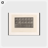 アートポストカード-Naked Rider
 - エドワード マイブリッジ Postcard.