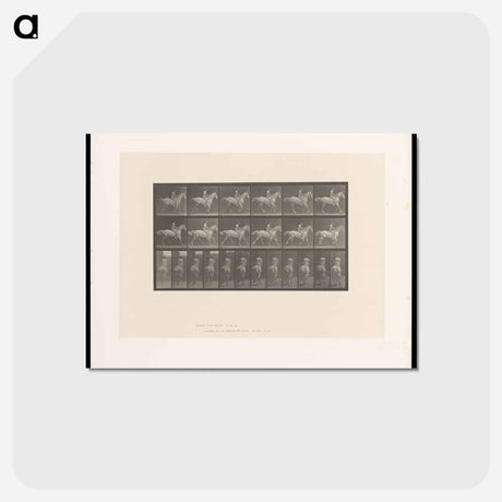 アートポストカード-Naked Rider
 - エドワード マイブリッジ Postcard.