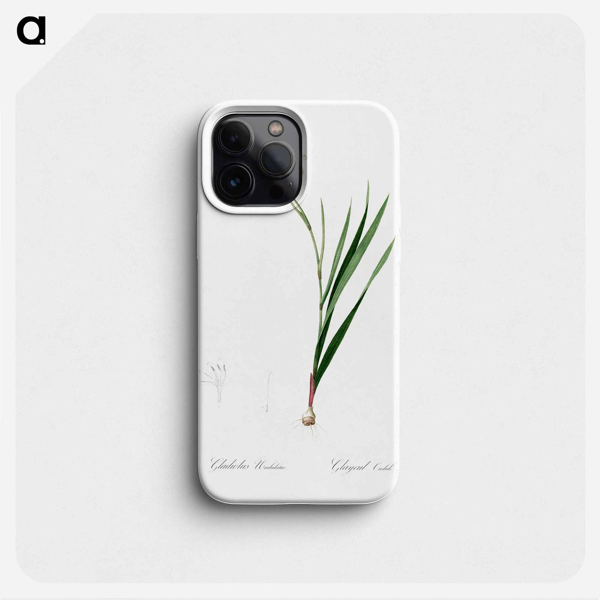 Gladiolus illustration from Les liliacées - Pierre-Joseph Redouté Phone Case.