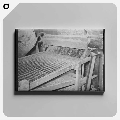 アートパネル-Cow Hide, Pie Town
 - ラッセル リー Canvas.