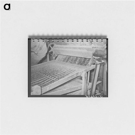 アートメモ帳-Cow Hide, Pie Town
 - ラッセル リー Memo.