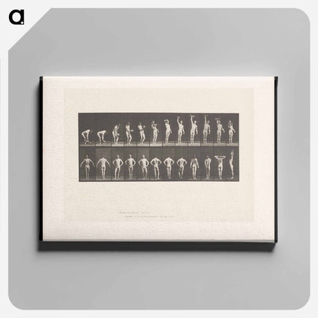 アートパネル-Weightlifter Posing
 - エドワード マイブリッジ Canvas.