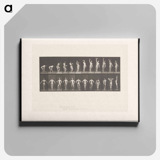 アートパネル-Weightlifter Posing
 - エドワード マイブリッジ Canvas.