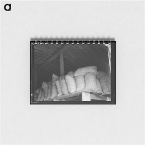 アートメモ帳-Untitled photo, possibly related to: Fifty-pound bags of onions in storage shed, ready for market. Malheur County, Oregon - ドロテア ラング Memo.