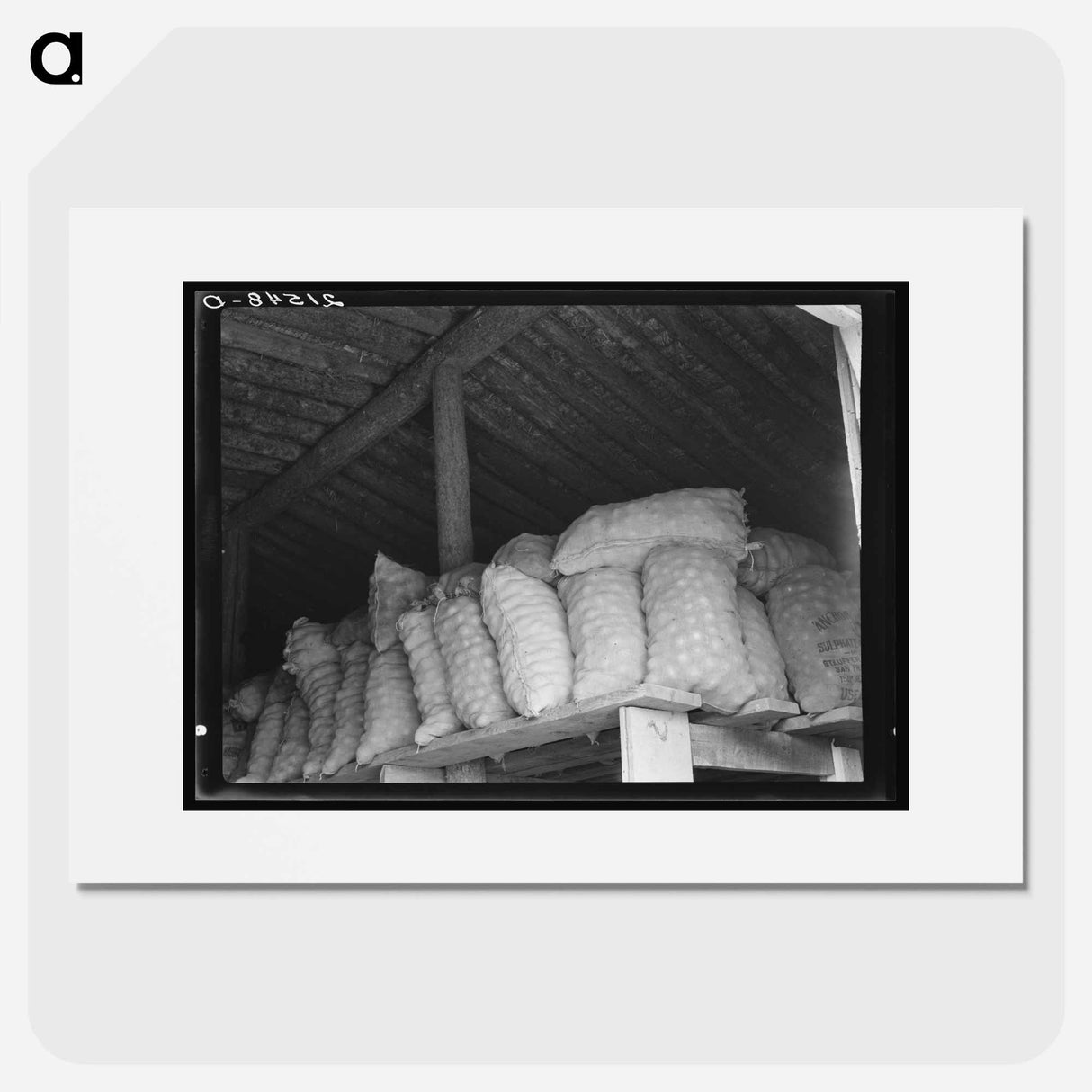 Untitled photo, possibly related to: Fifty-pound bags of onions in storage shed, ready for market. Malheur County, Oregon - ドロテア ラング Poster.