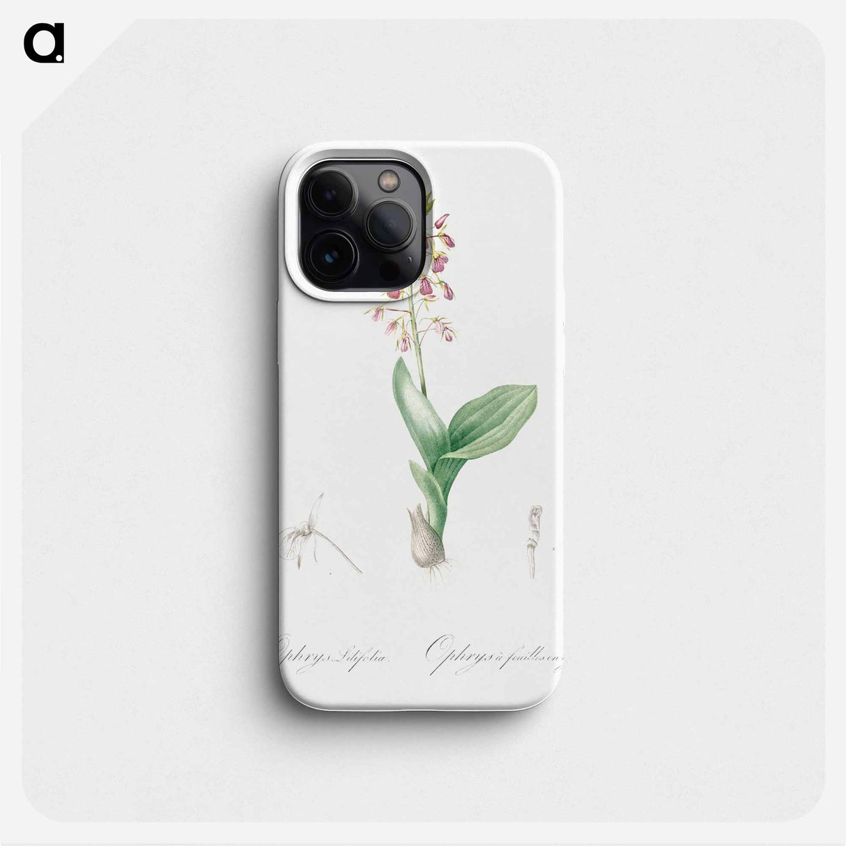 Brown widelip orchid illustration - Pierre Joseph Redouté Phone Case.