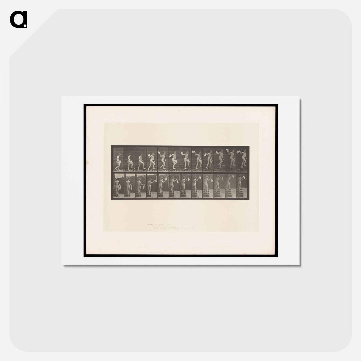 アートポストカード-Ascending Nude
 - エドワード マイブリッジ Postcard.