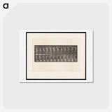 アートポストカード-Ascending Nude
 - エドワード マイブリッジ Postcard.