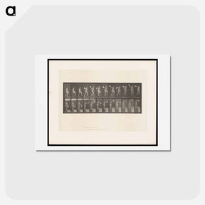 アートポストカード-Ascending Nude
 - エドワード マイブリッジ Postcard.
