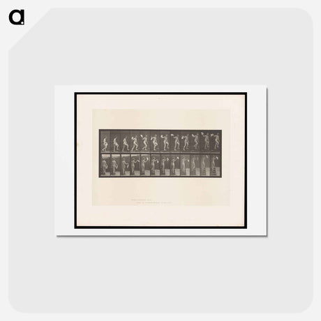 アートポストカード-Ascending Nude
 - エドワード マイブリッジ Postcard.