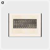 アートポストカード-Ascending Nude
 - エドワード マイブリッジ Postcard.