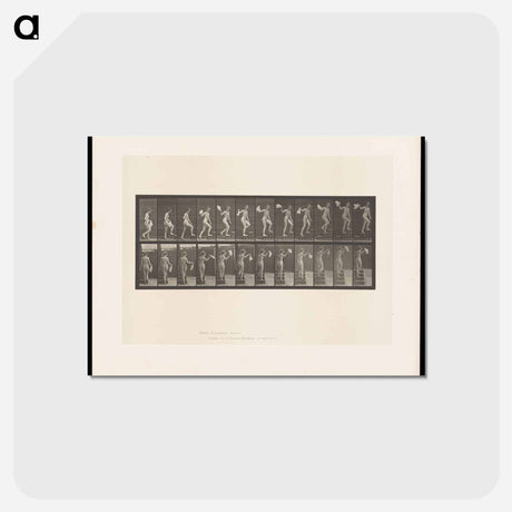 アートポストカード-Ascending Nude
 - エドワード マイブリッジ Postcard.