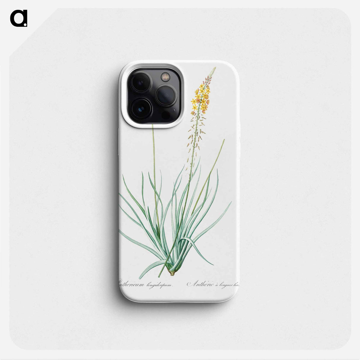 Bulbine - Pierre Joseph Redouté Phone Case.