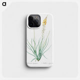 Bulbine - Pierre Joseph Redouté Phone Case.