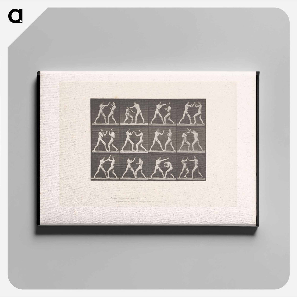 アートパネル-Posing Pugilists
 - エドワード マイブリッジ Canvas.