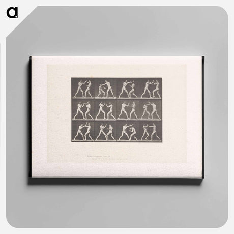アートパネル-Posing Pugilists
 - エドワード マイブリッジ Canvas.