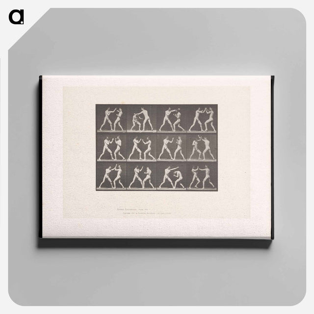 アートパネル-Posing Pugilists
 - エドワード マイブリッジ Canvas.